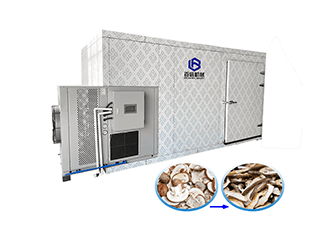 Mushroom dryer machine